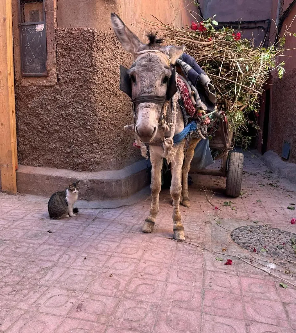 Riad Maiya Marrakesh